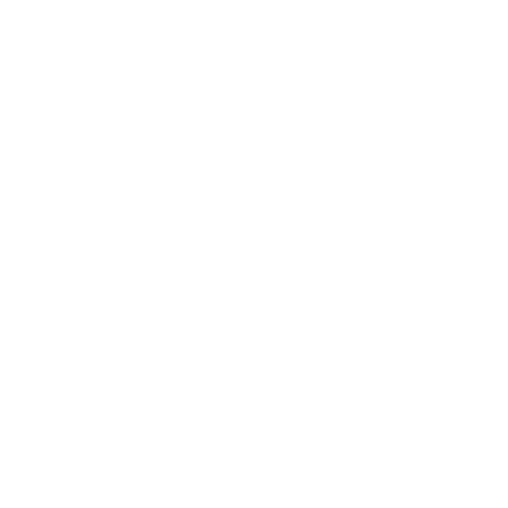 Danzoo ApS